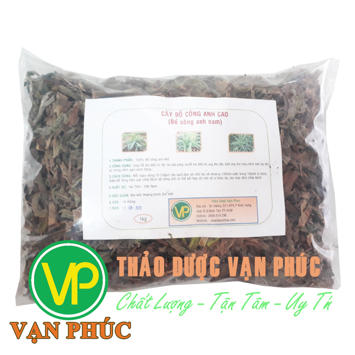 Bồ công anh