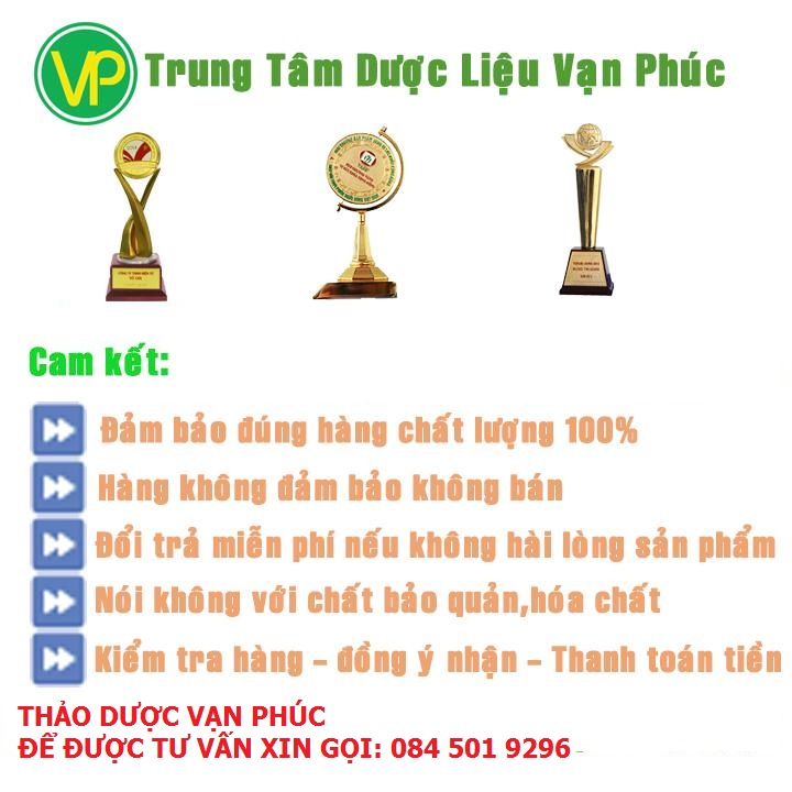Mua sâm cau đỏ ở đâu tại TP HCM