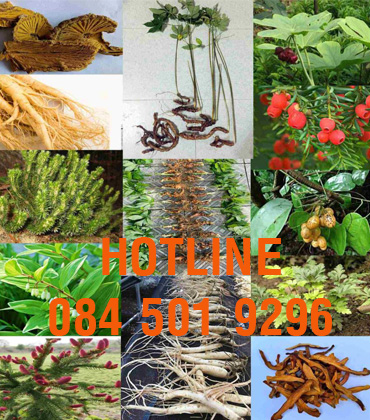 Bộ nồi ANOD