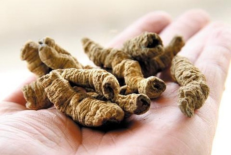 Mua củ ba kích khô ở đâu tại TPHCM