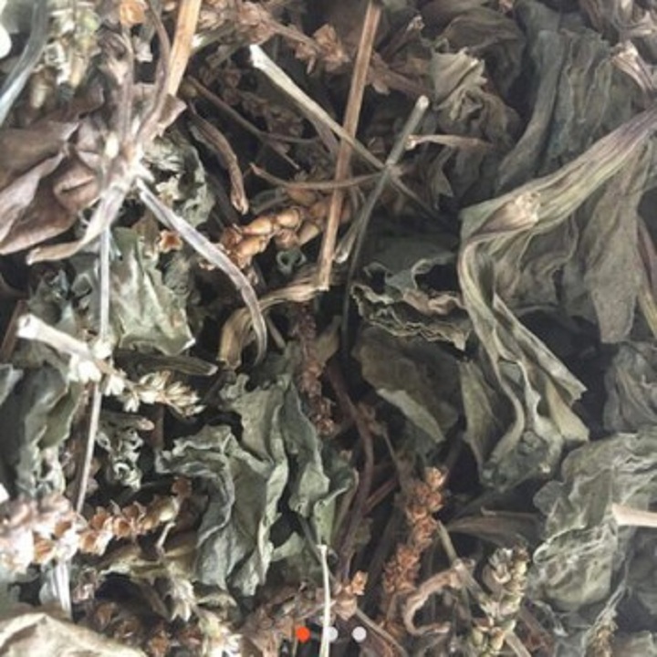 Cây mã đề khô