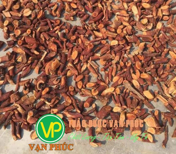 mua bán cây mú từn