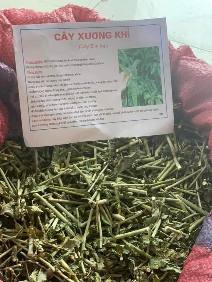 cây xương khỉ đã phơi khô