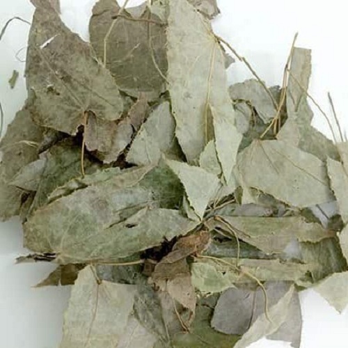 lá dâm dương hoắc