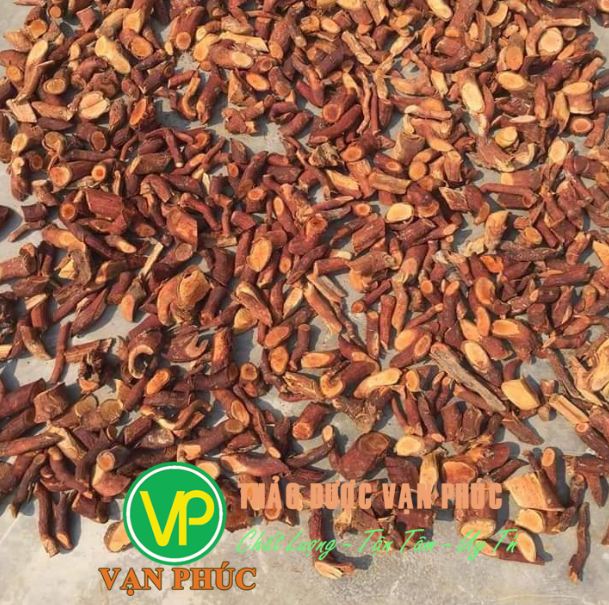 lưu ý khi sử dụng cây mú từn