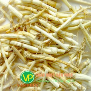 Rễ cỏ tranh