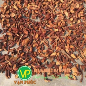 Những lưu ý khi sử dụng cây mú từn