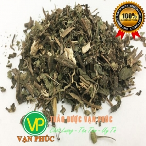 Mua cây cỏ mực ở đâu tại TPHCM ?