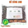 Bồ công anh nam