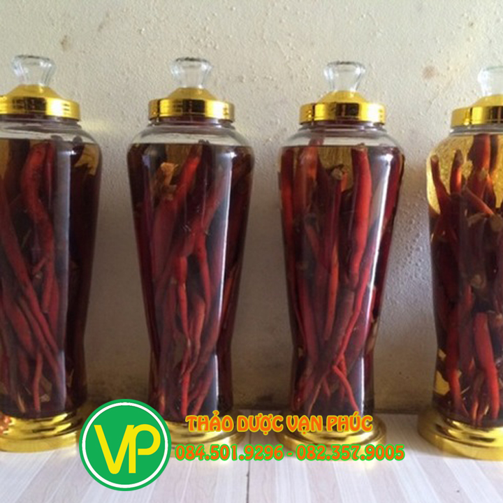 sâm cau đỏ mua ở đâu tại TP HCM