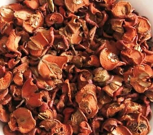 táo mèo